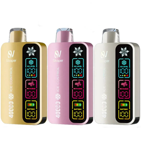 Silvaper 40000 Puffs Disposable Vape in Dubai