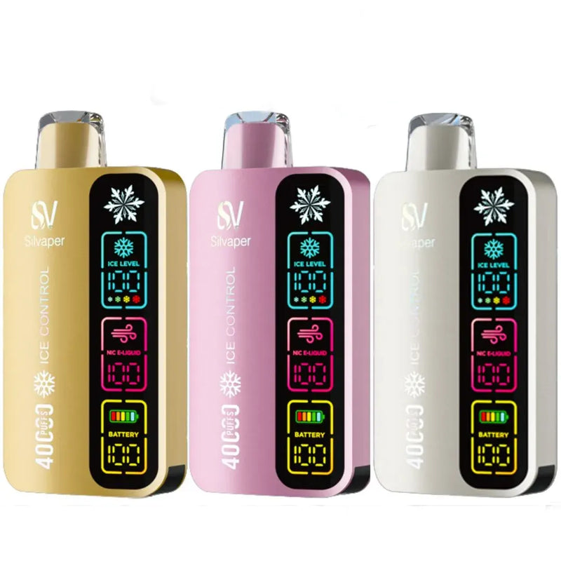 Silvaper 40000 Puffs Disposable Vape in Dubai
